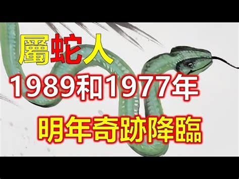 1989屬蛇幸運色|生肖蛇: 性格，愛情，2024運勢，生肖1989，2001，2013